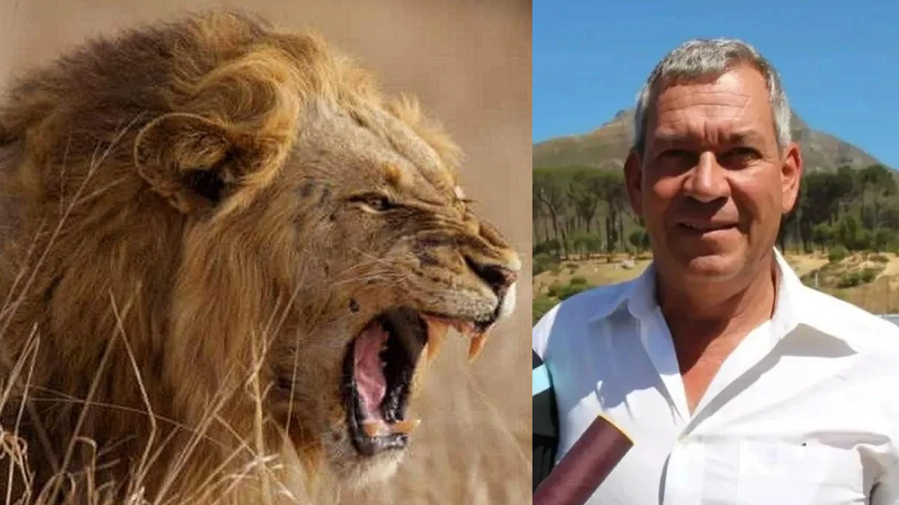 Fenerbahçeli ünlü iş adamı aslan saldırısında feci şekilde öldü!