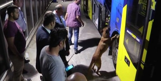 Fenerbahçe'ye 'Bomba' şoku!