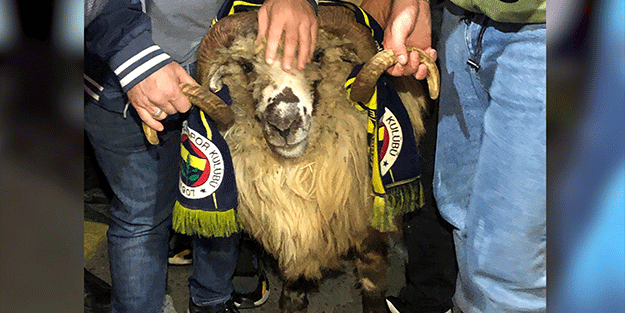 Fenerbahçe'yi eze eze yenen Trabzonspor kafilesine koçla karşılama