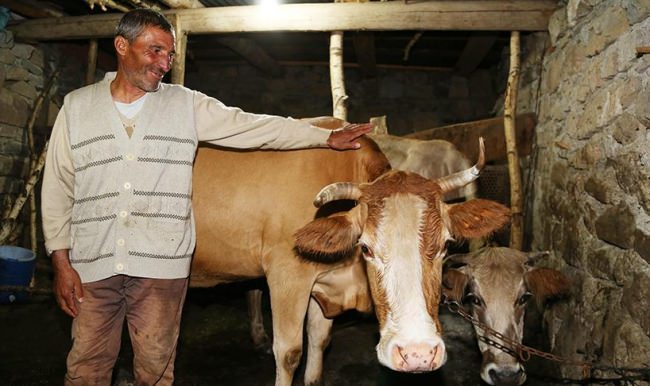 Fenomen çoban Cumhurbaşkanı Erdoğan'ı görmek istiyor