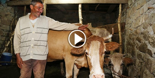 'Fenomen çoban' Erdoğan'ı görmek istiyor