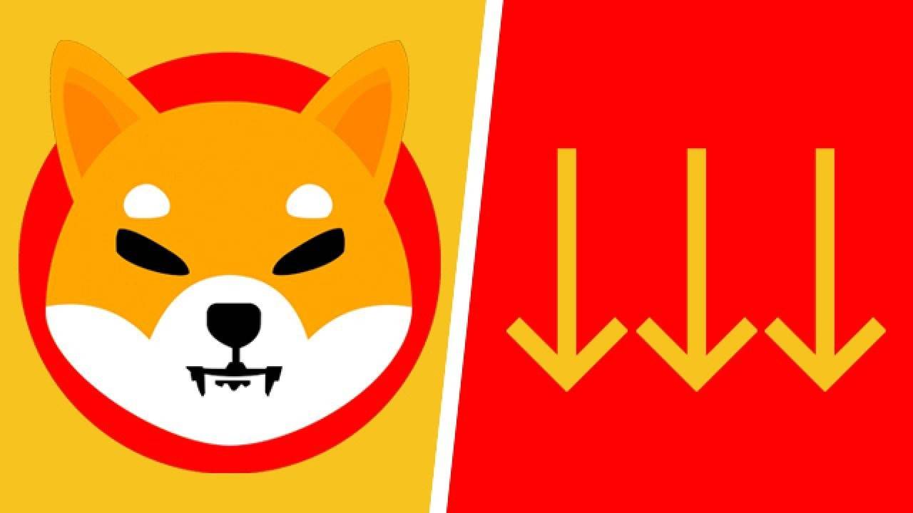 Fenomenler yatırımcıyı yine mağdur etti: Shiba coin yükselecek dediler ama düşüşte!