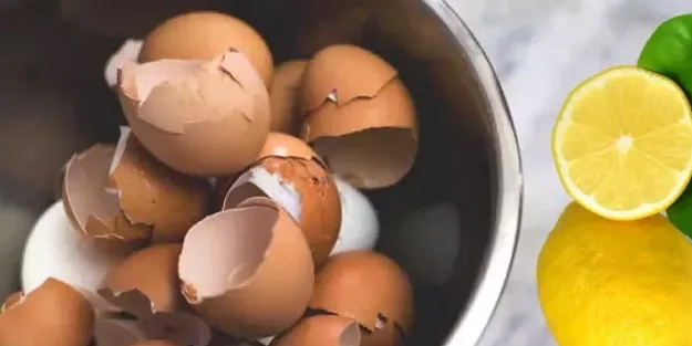 Feridun Kunak'ın önerdiği bitkisel kür! Taş gibi kemikler için bunu tüketin oluyor! Böylesi yok, herkes malzemeleri aramaya başladı