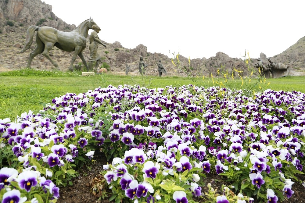Festival alanı çiçeklerle donatılıyor 