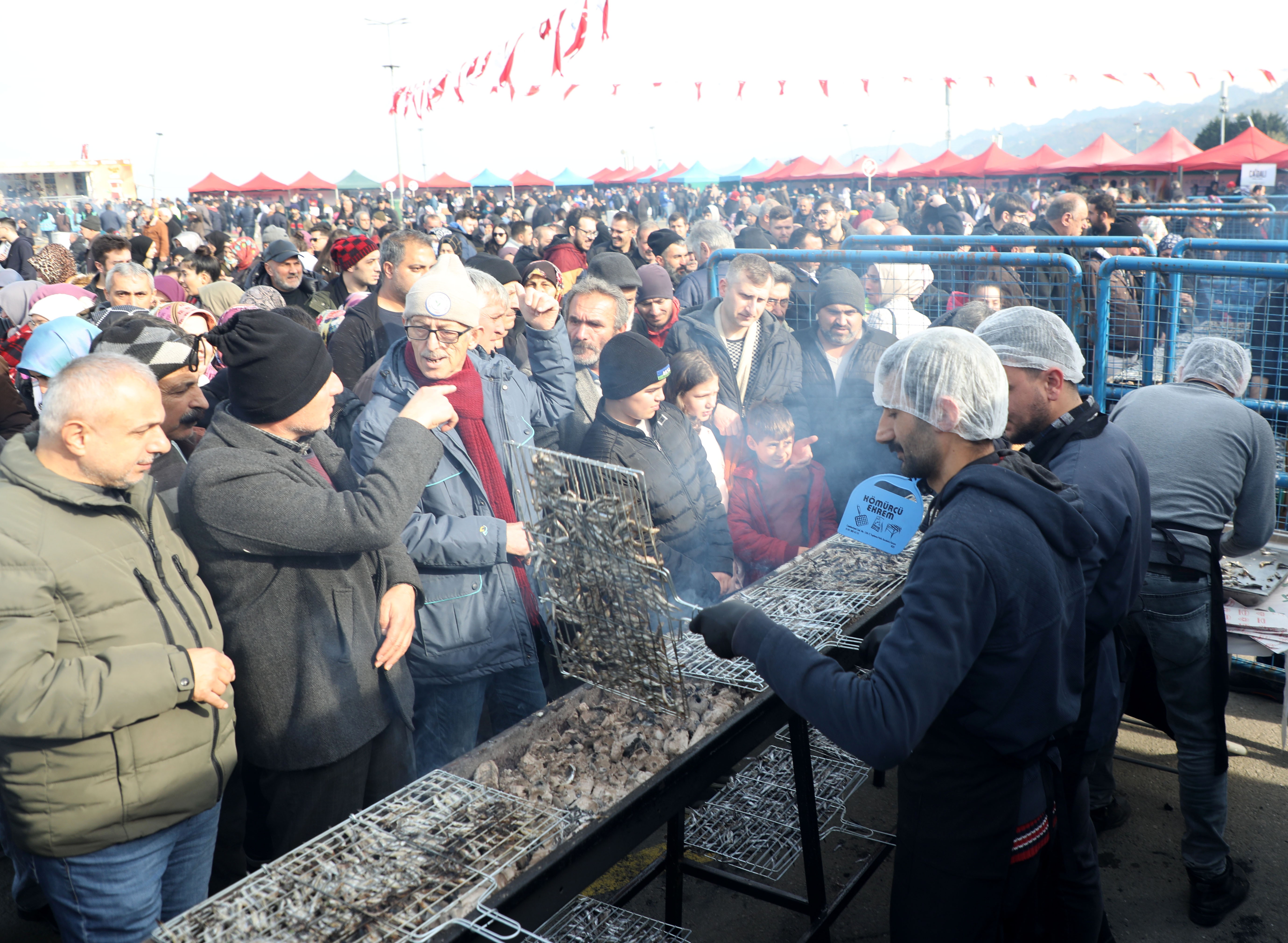 Festivalde 2,5 ton hamsi yediler!