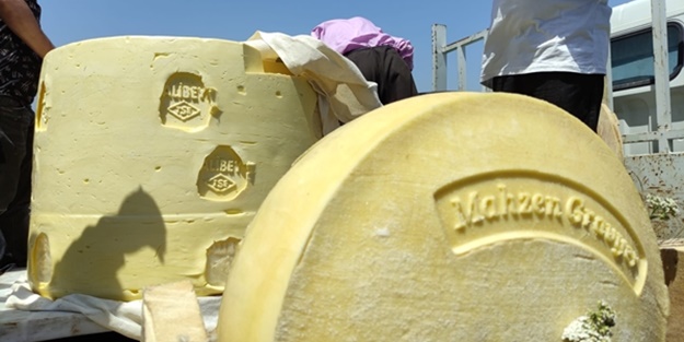 Festivale damga vurdu... Tam 1 ton ağırlığında!