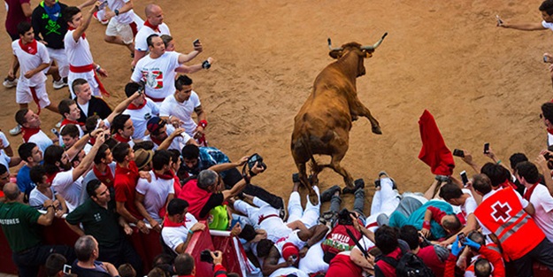 Festivali izlerken canından oldu!