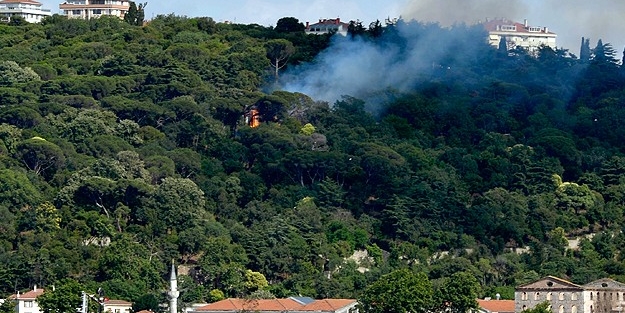 Fethipaşa Korusu'nda yangın çıktı