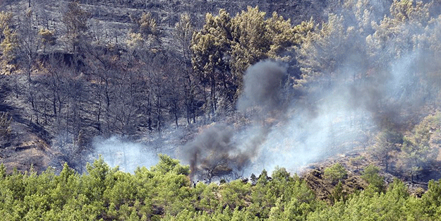 Fethiye'den güzel haber