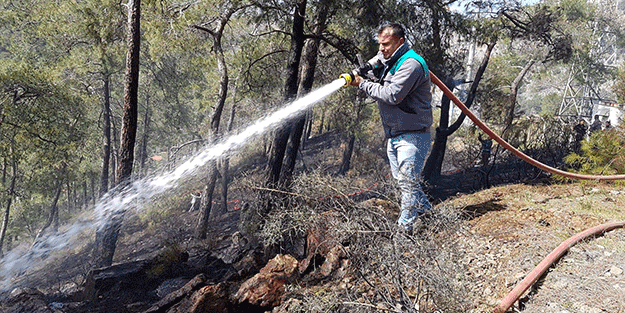 Fethiye'deki yangından iyi haber
