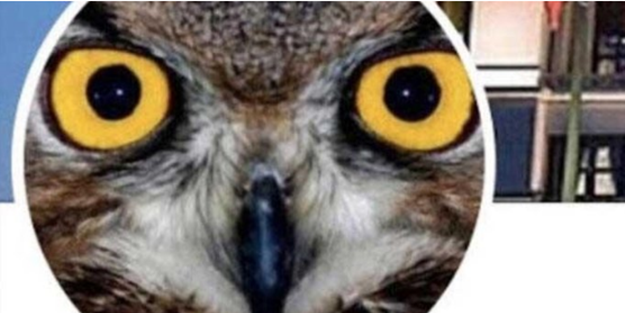 FETÖ'cü 'Ankara Kuşu' hakim karşısında!