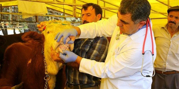 FETÖ'den herkesi şaşırtan 'kurban' hamlesi