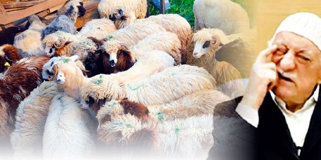 FETÖ’nün kurban oyunu