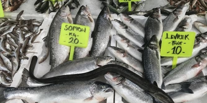 1 metre uzunluğunda yılan balığı yakalandı
