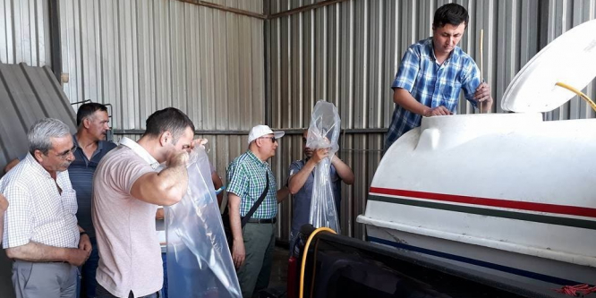 Konya’nın baraj, göl ve göletlerine yavru sazan desteği