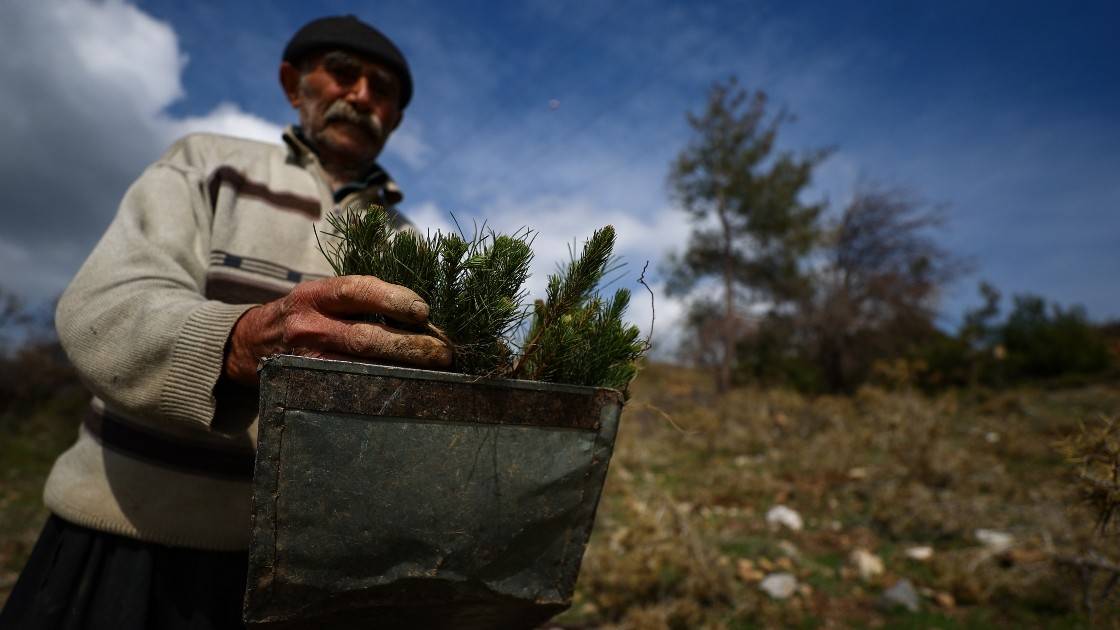  “Fidan dede” 550 bine yakın fidanı toprakla buluşturdu