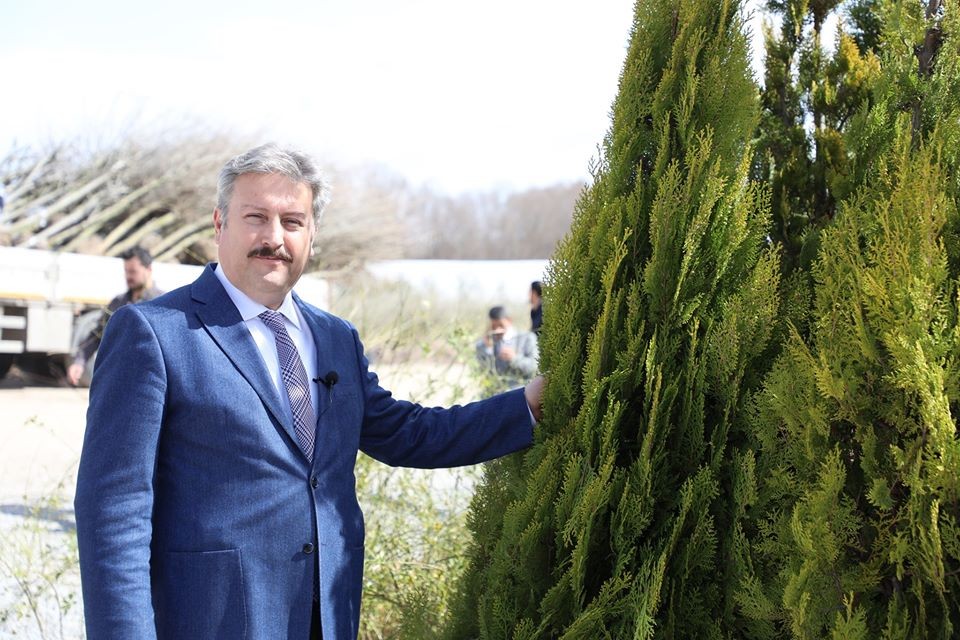 “Fidan değil ağaç dikiyoruz