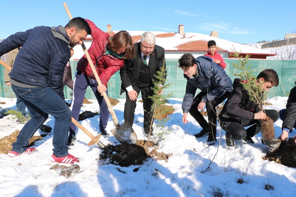 Fidanlar ‘Toprak Dede’ anısına dikildi 