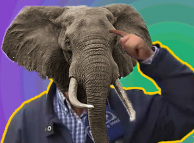 Fil gibi bir hafızaya sahip olmak isteyenler, önlerine gelen her yemeğe bu baharatlardan bol bol atsın! Beyni hafıza kartı gibi yapıyor