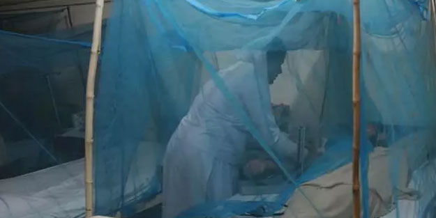 Fildişi Sahili'nde dang humması paniği