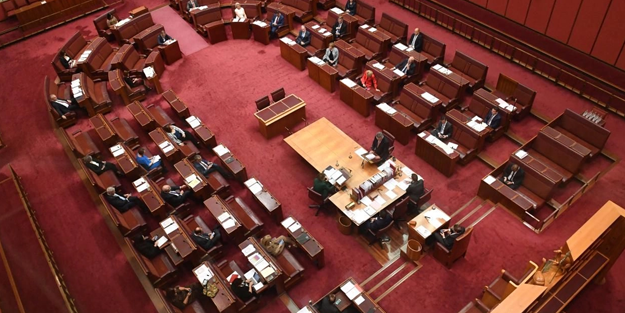 Filistin'i desteklediği için ceza alan senatör bakın ne yaptı!