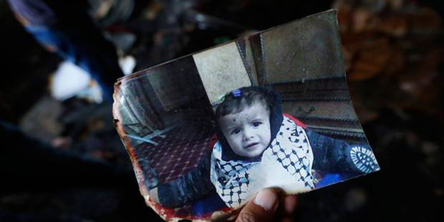 Filistinli Bebek, aslan Cecil kadar önemsenmedi