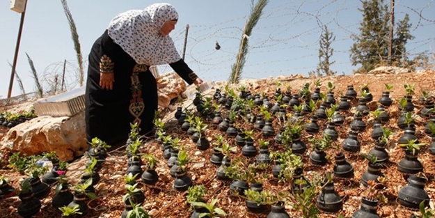 Filistinli kadın, İşgalci İsrail'in attığı gaz fişeklerinde çiçek yetiştiriyor