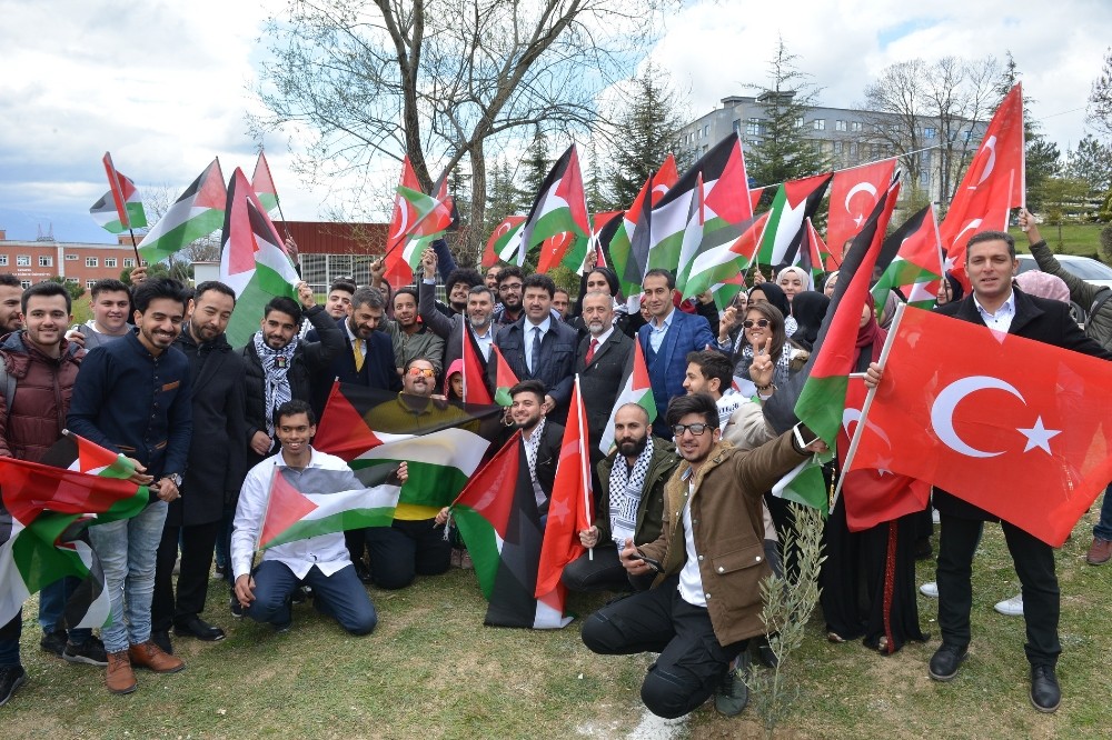 Filistinli öğrenciler SAÜ’de zeytin fidanı dikti 