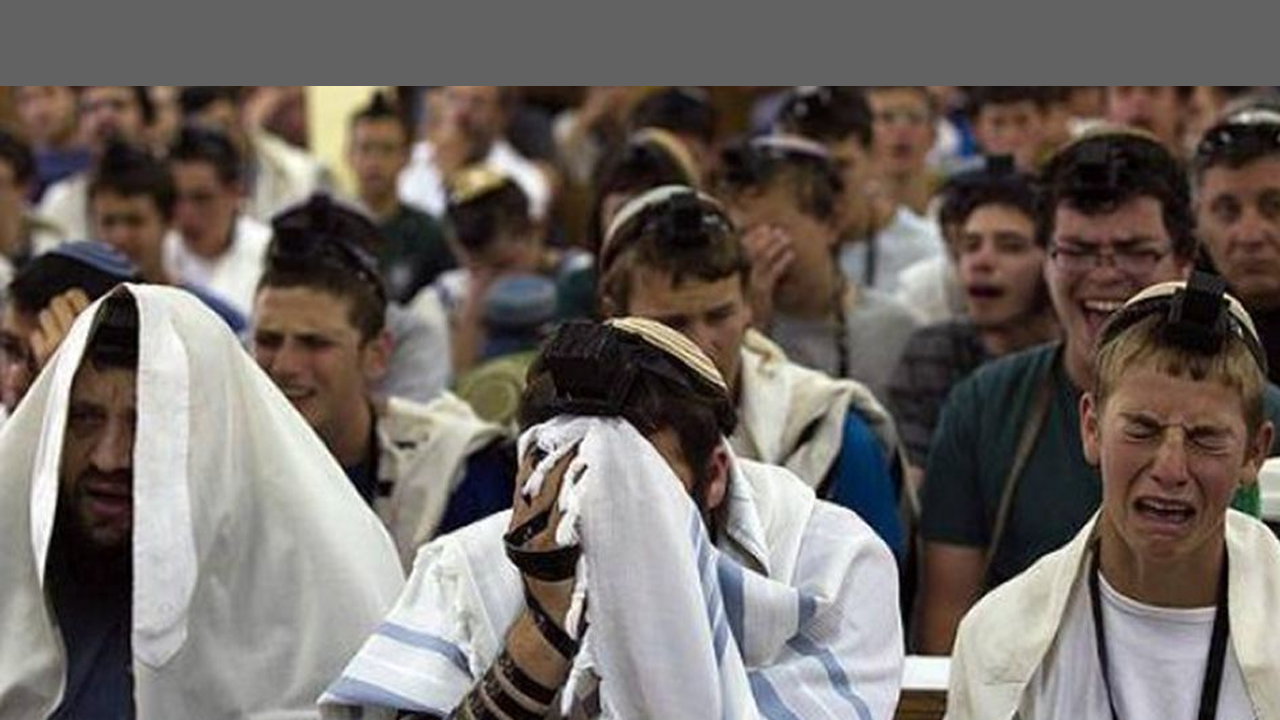 Filistinlileri alıkoyan İsrail askerleri binlerce parçaya bölünerek titizlikle imha edildi