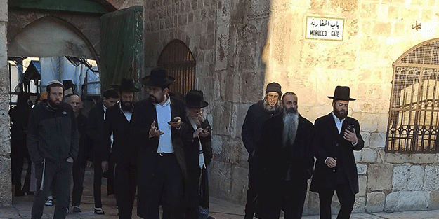 Filistinlilerin tapulu arazilerine askerler eşliğinde gelip el koydular!