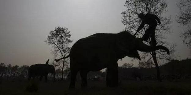 Fille 'selfie' canından etti