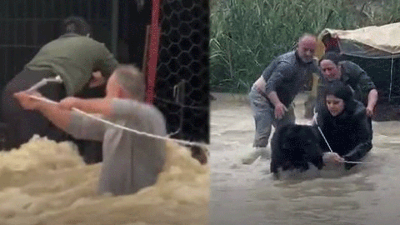 Film gibi kurtarma operasyonu: Selde mahsur kalan köpeği böyle kurtardılar!