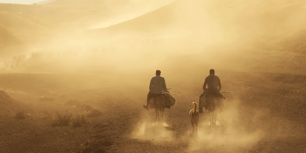 Film sahnesi değil! Bitlis'ten müthiş görüntüler