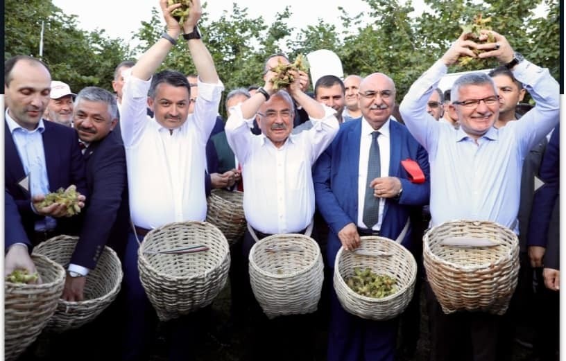 ‘Fındığın Başkenti’ sloganı tartışmaya yol açtı 