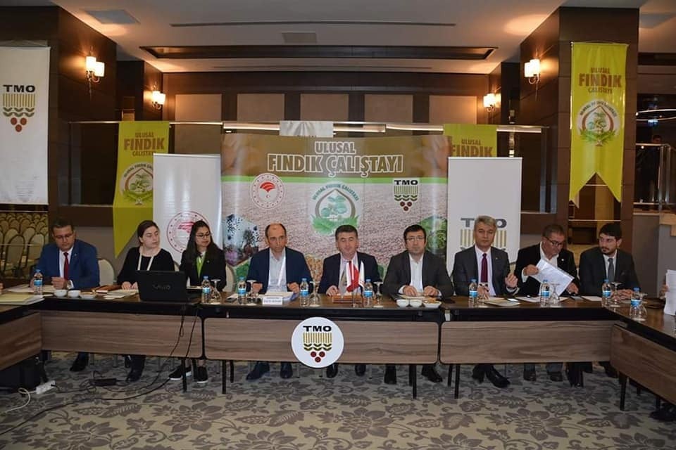 Fındığın yol haritası belirleniyor 