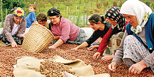 Fındık 1.78 milyar dolar kazandırdı