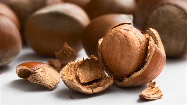 Fındık aşırı sıcağın etkisinde