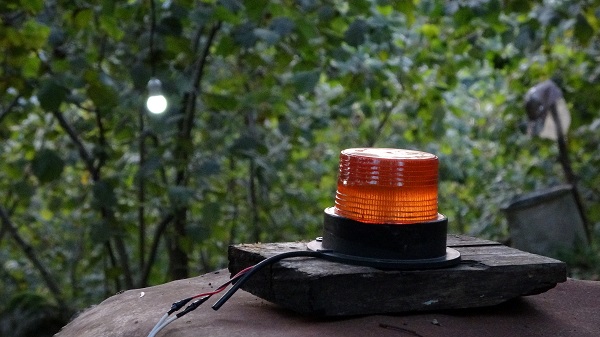 Fındık bahçesine domuzlar dadanınca... İşte Karadeniz usulü çözüm