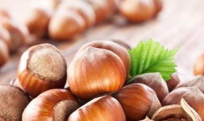 Fındık fiyatı 13 liraya yükseldi