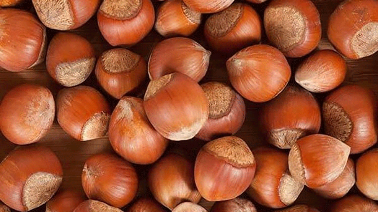 Fındık fiyatlarında korkulan oldu!