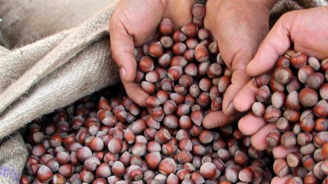 Fındık ihracatı 2 milyar doları geçti