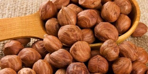 Fındık ihracatı geçen yıla göre arttı
