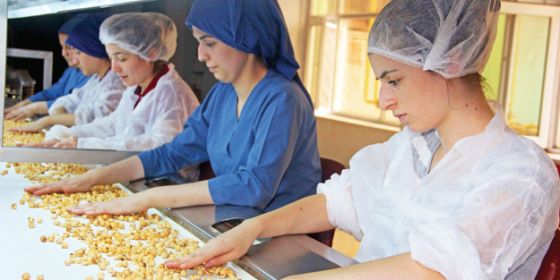 Fındık ihracatı Türkiye’ye 1.9 milyar $ kazandırdı