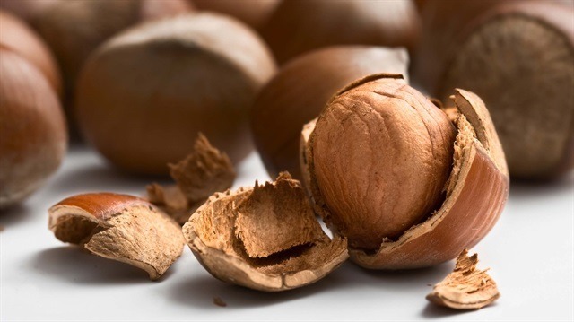 Fındık ihracatı ve gelirinde düşüş