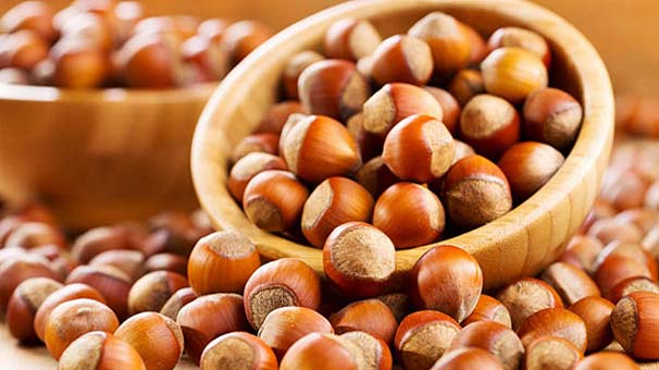 Fındık ihracatının lideri 