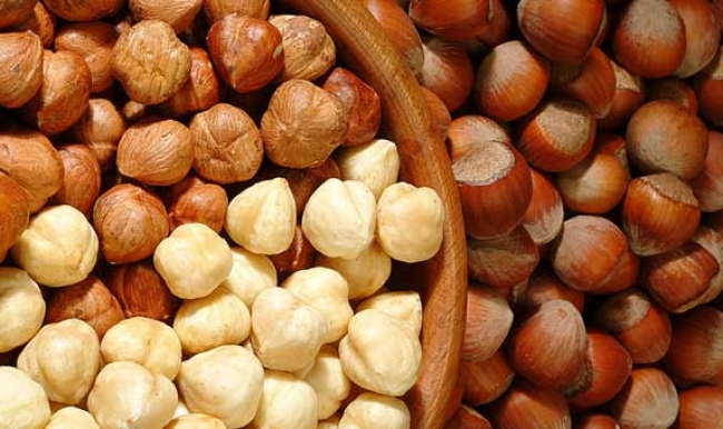 Fındık Tanıtım Grubu Başkanı Sevinç: Türk fındığı tehdit altındadır