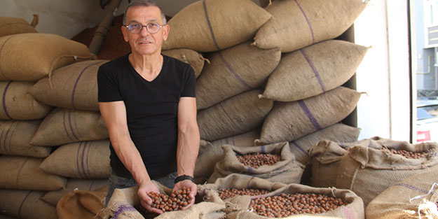 Fındık tüccarına kokarca oyunu!