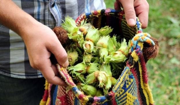 Fındık üreticilerine 'acele etmeyin' çağrısı