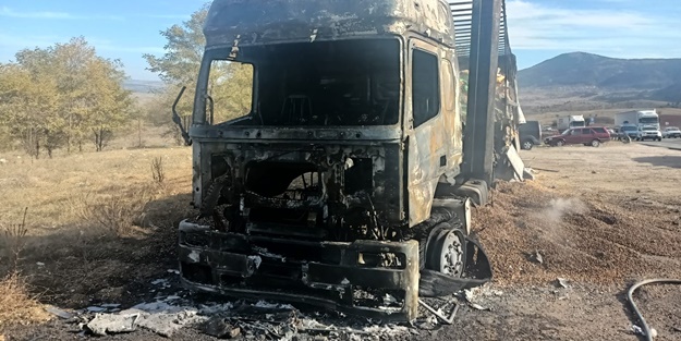 Fındık yüklü TIR alev alev yandı