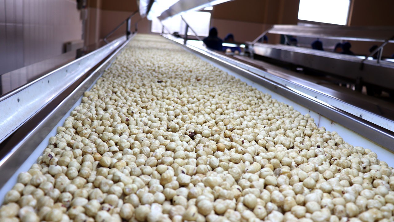 Fındıkta hedef 2,5 milyar dolar!